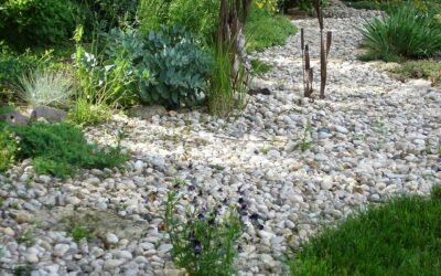 How to use rocks to make your garden design more interesting