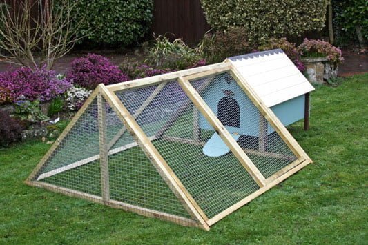 Typical back garden chicken coup (henhouse)