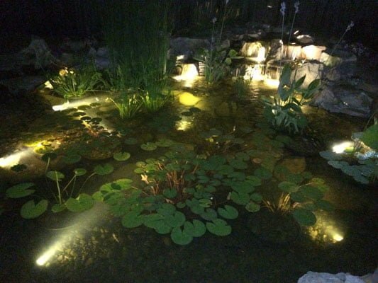 Make a garden pond with lighting