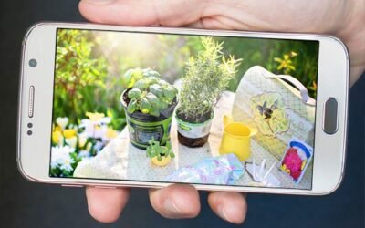 The best gardening apps to help your garden grow