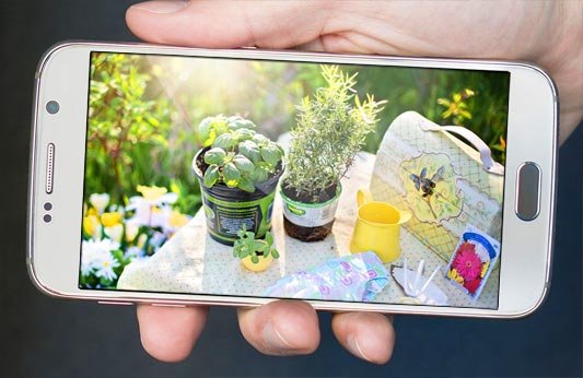 The best gardening apps to help your garden grow