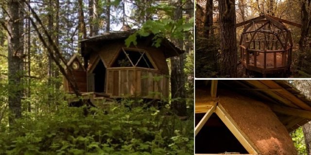 A "cabin" in the woods