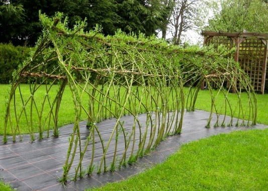 Preparations for living willow structures