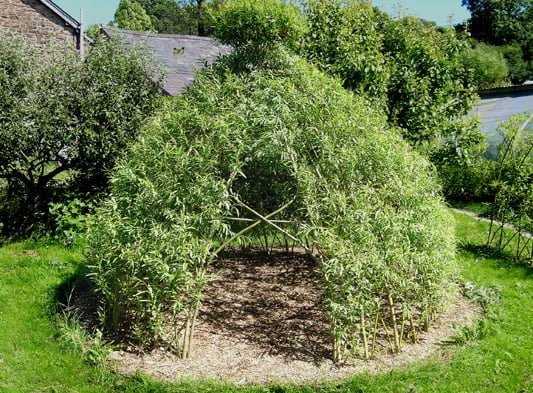 Willow wigwam