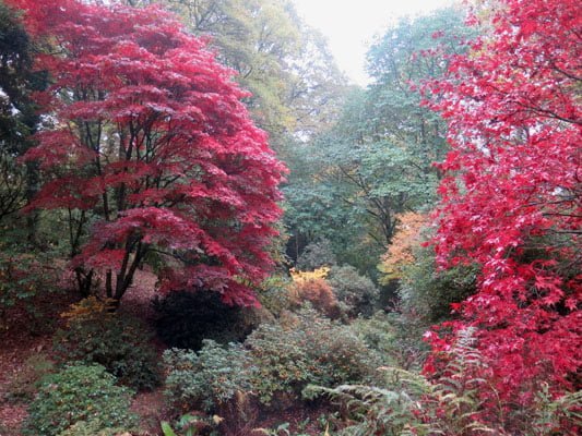 Hergest Croft Gardens